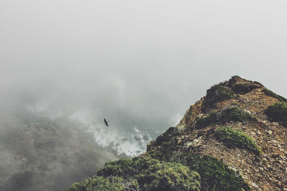 Mahasiswa UI Merapat, Beasiswa Boeing Indonesia Diperpanjang Nih! Intip Yuk – Medcom.id