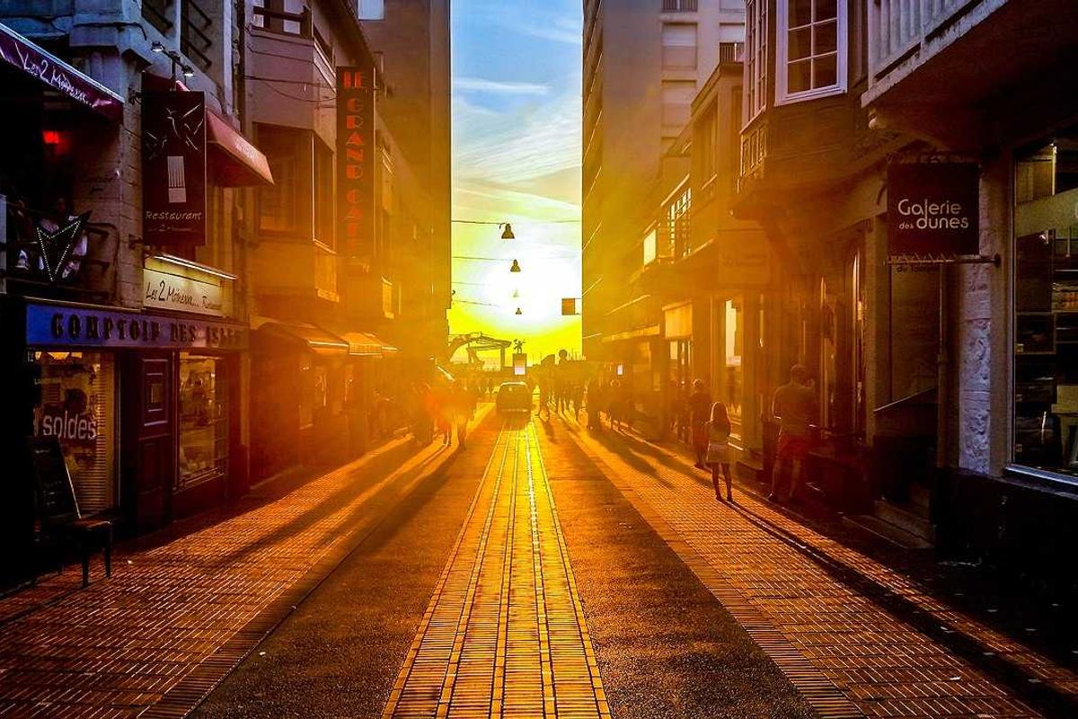 AI Hancurkan Monopoli Pengetahuan Kampus, SEVIMA & Prof Rhenald Kasali Ajak Pendidikan Tinggi Berubah – SEVIMA