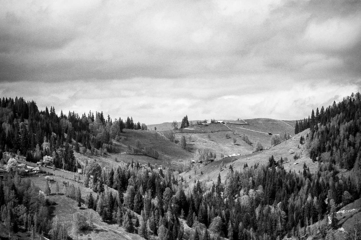 AI Hancurkan Monopoli Pengetahuan Kampus, SEVIMA & Prof Rhenald Kasali Ajak Pendidikan Tinggi Berubah – SEVIMA