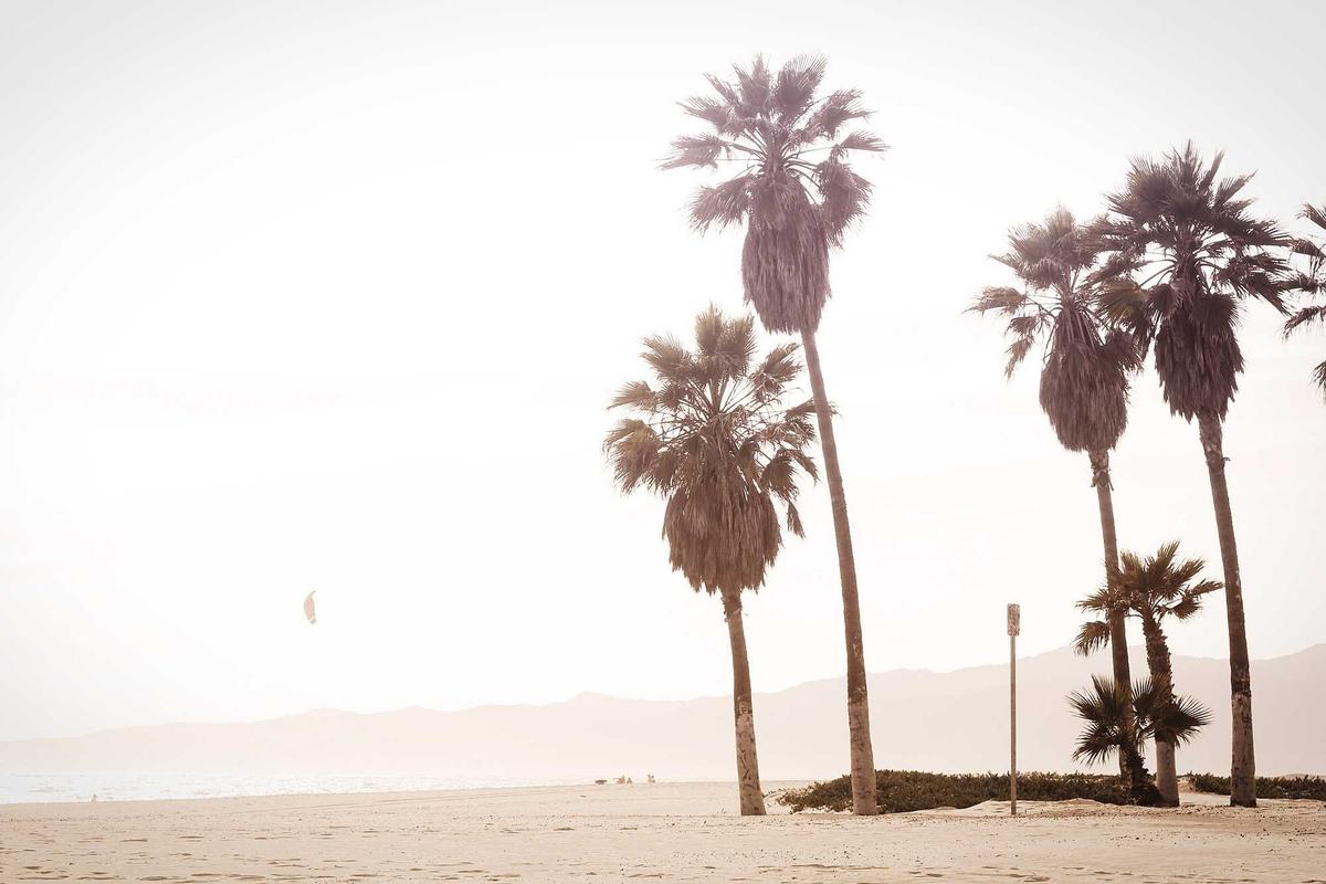 Indonesia-Malaysia siap perkuat kolaborasi riset dan pendidikan tinggi – ANTARA News